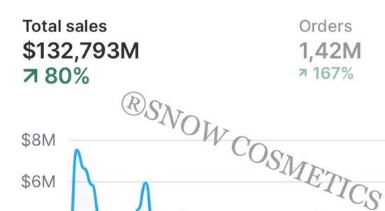Snow Cosmetics — $132M total sales, 80% growth, 1.42M orders